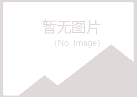 张家口凌雪采矿有限公司